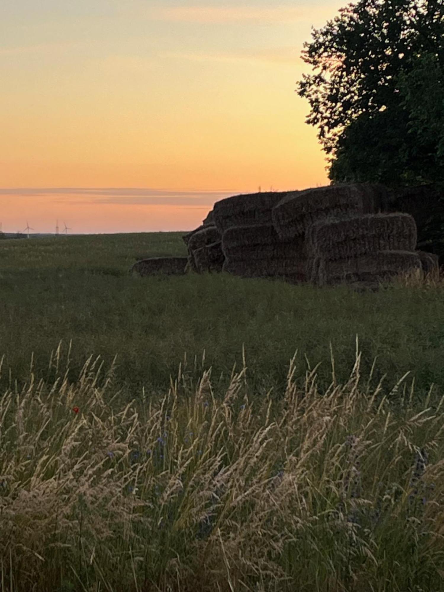 Pfarrhaus Tollensesee Penzlin Esterno foto