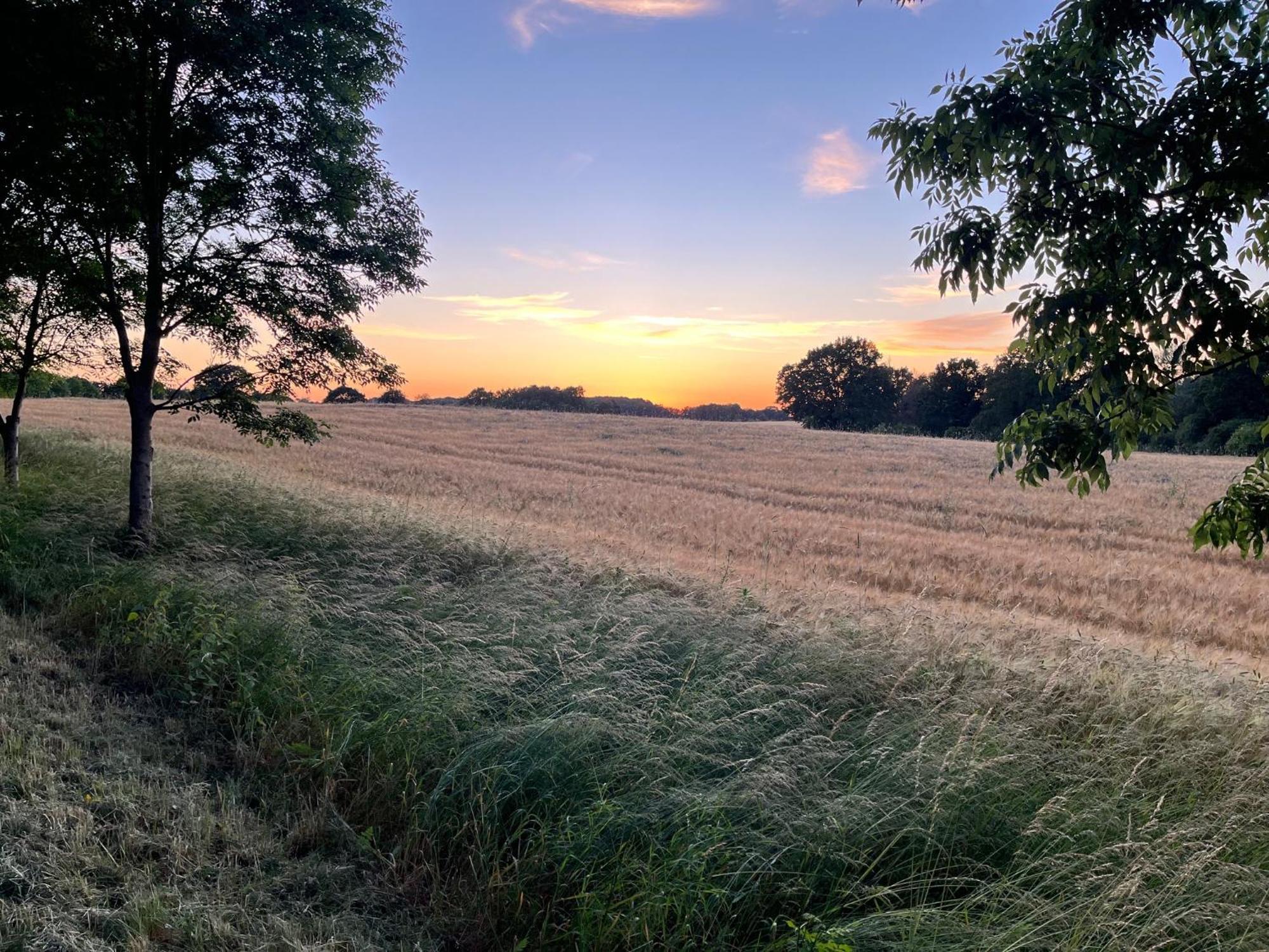 Pfarrhaus Tollensesee Penzlin Esterno foto