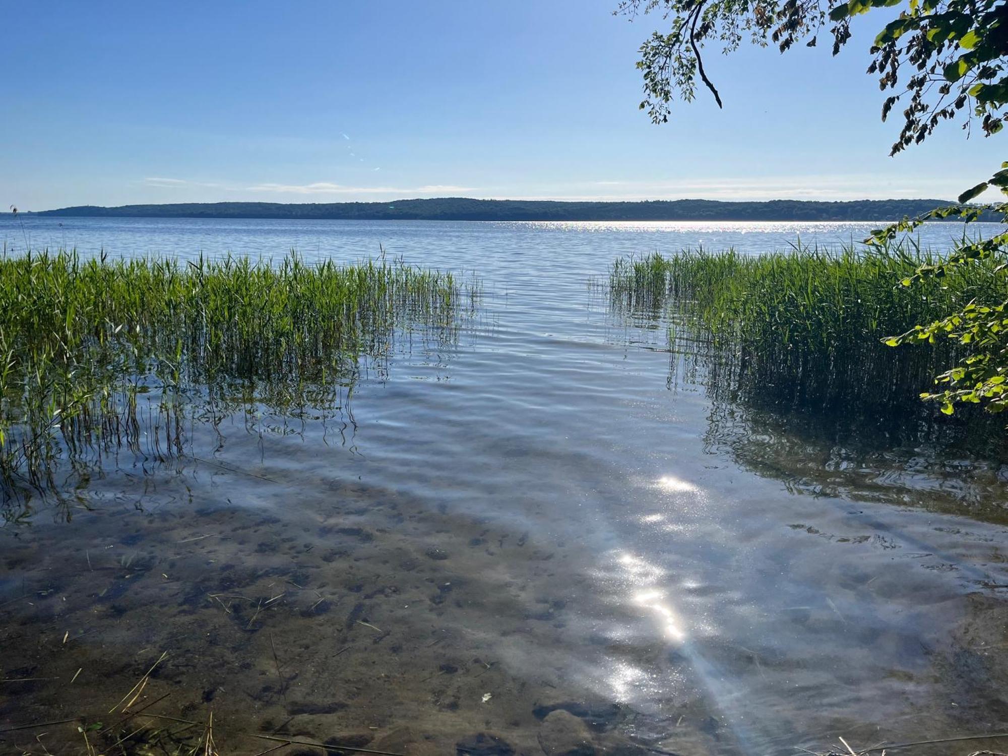 Pfarrhaus Tollensesee Penzlin Esterno foto