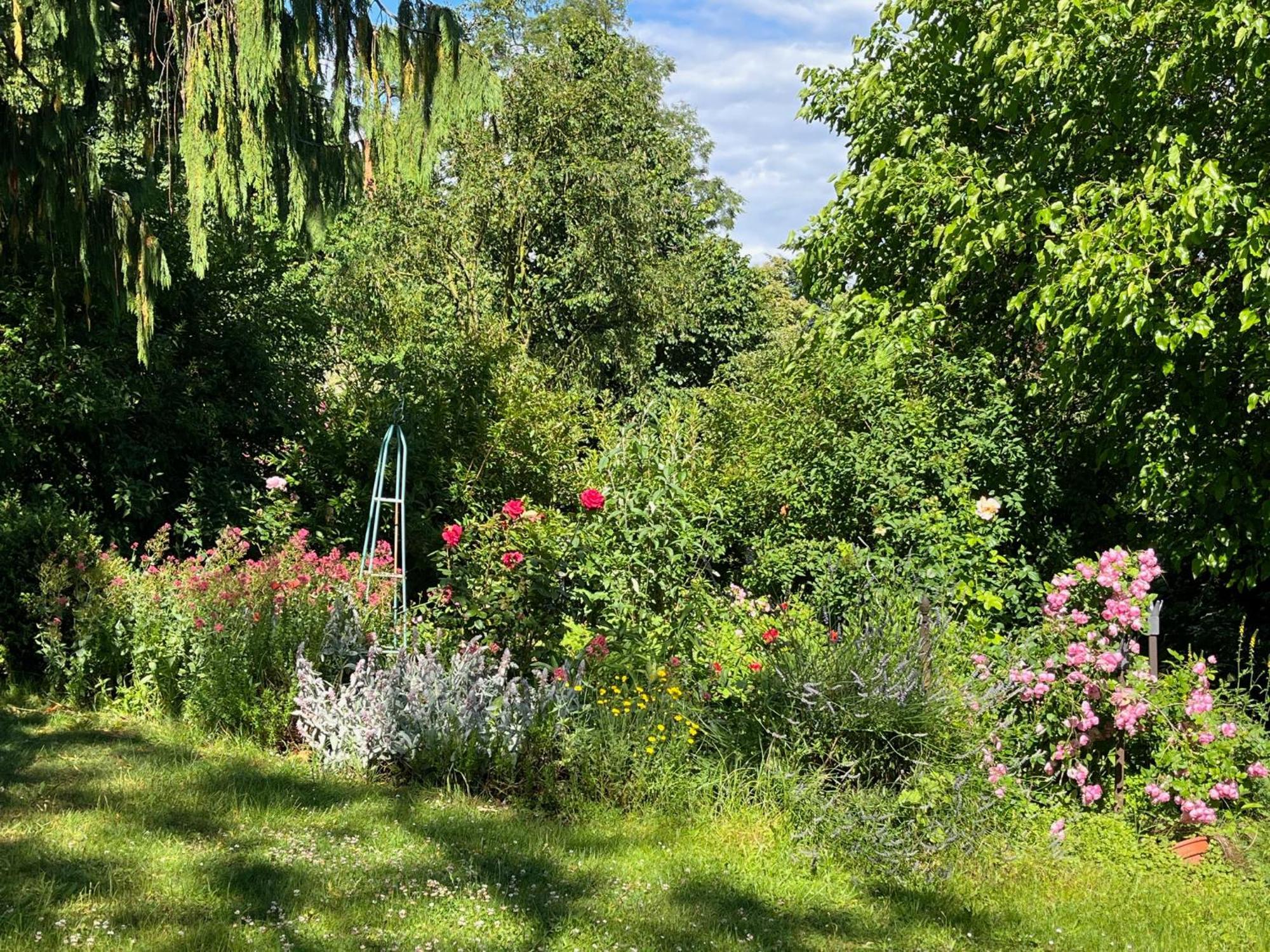 Pfarrhaus Tollensesee Penzlin Esterno foto