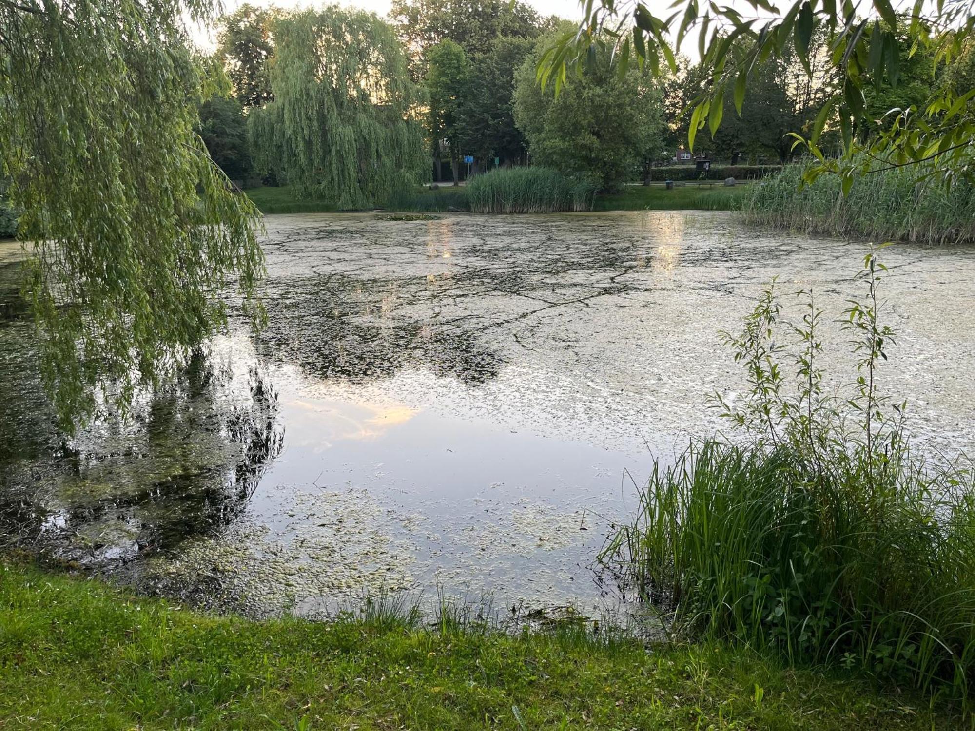 Pfarrhaus Tollensesee Penzlin Esterno foto