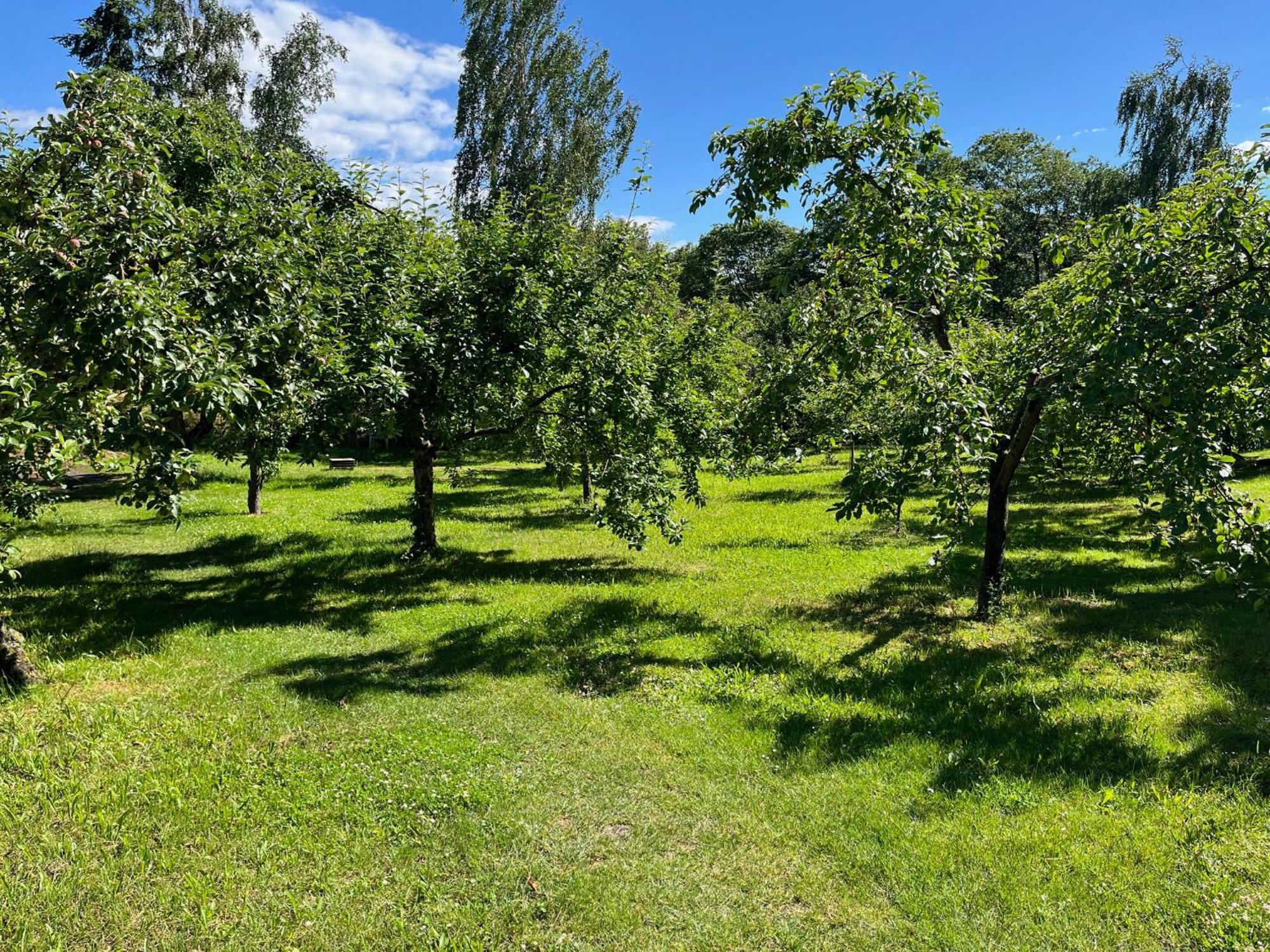 Pfarrhaus Tollensesee Penzlin Esterno foto