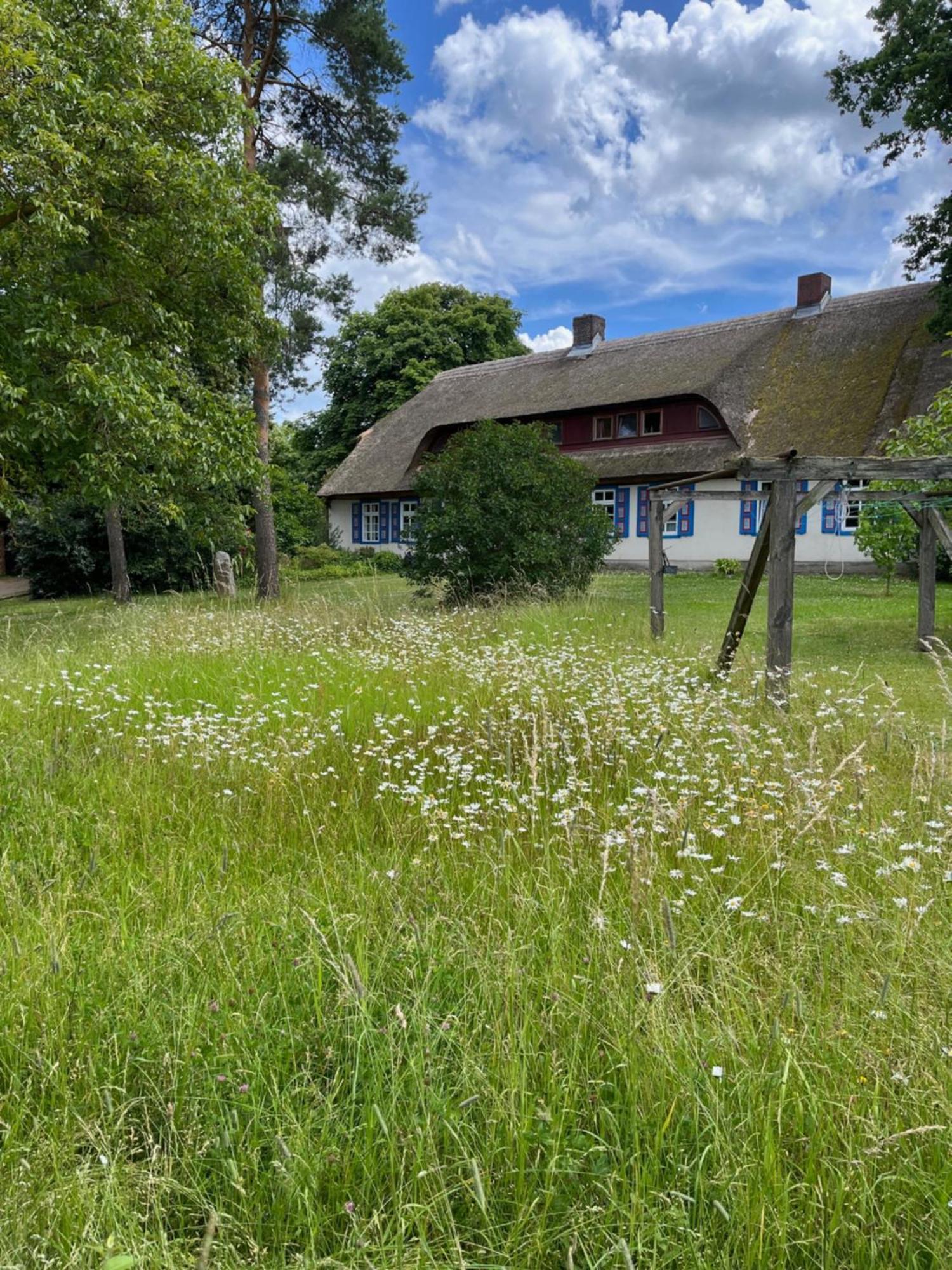Pfarrhaus Tollensesee Penzlin Esterno foto