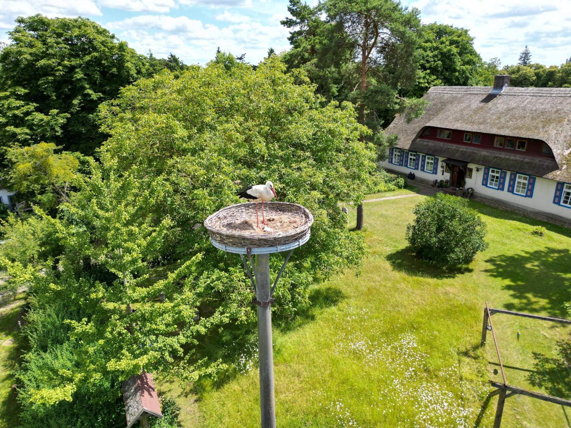 Pfarrhaus Tollensesee Penzlin Esterno foto